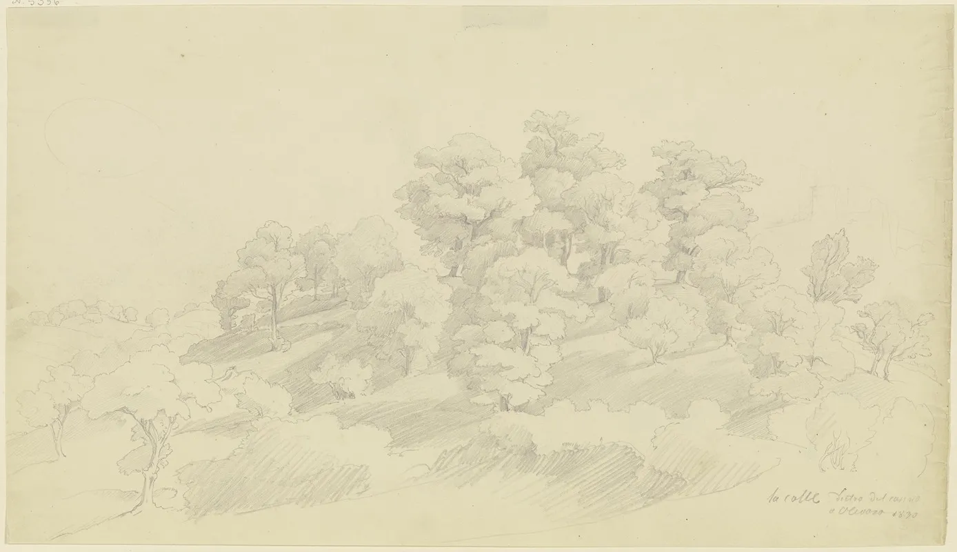 Group Of Trees Near Olevano