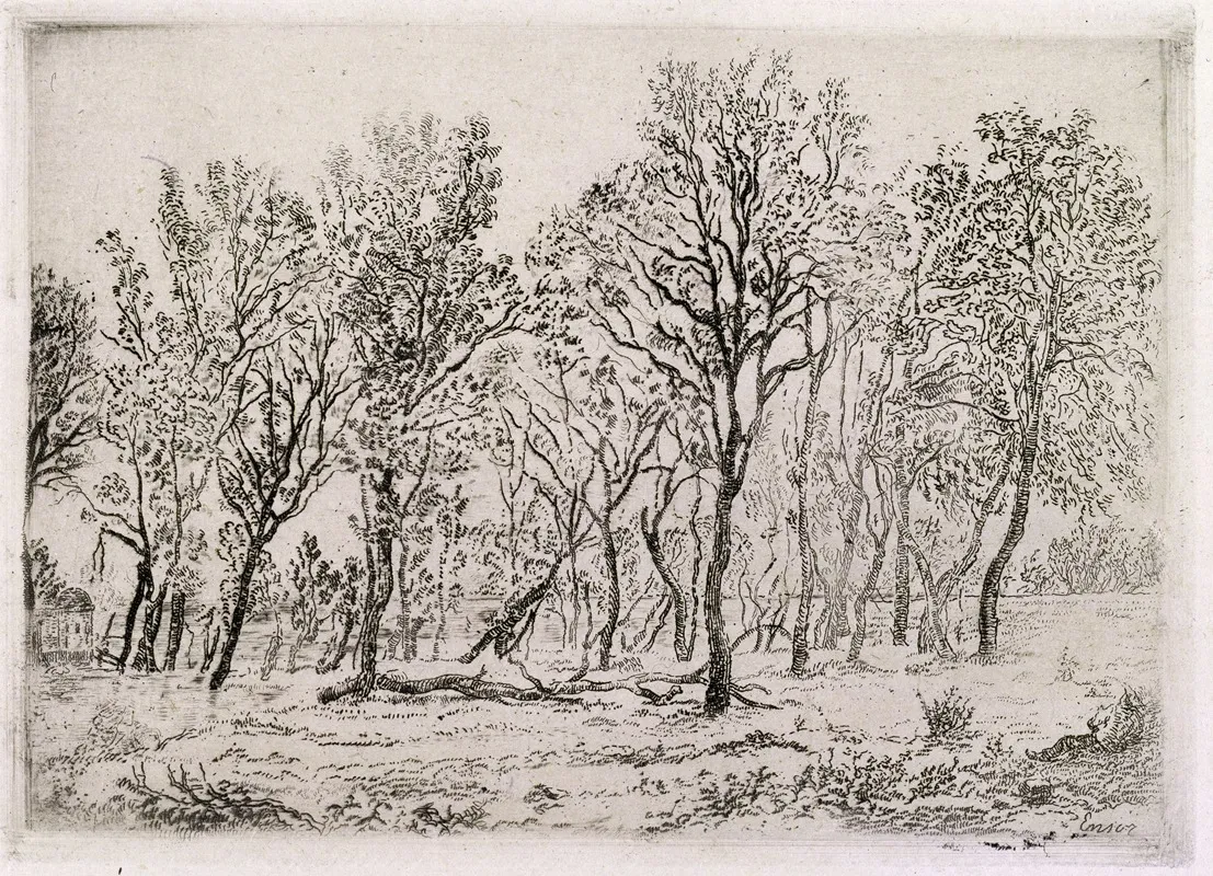 Group Of Trees