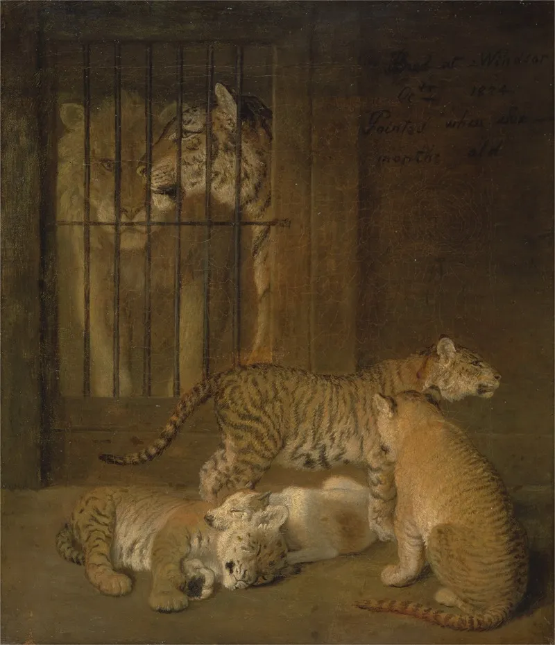 Group Of Whelps Bred Between A Lion And A Tigress Wall Art by Jacques-Laurent Agasse - High-Resolution Digital Print