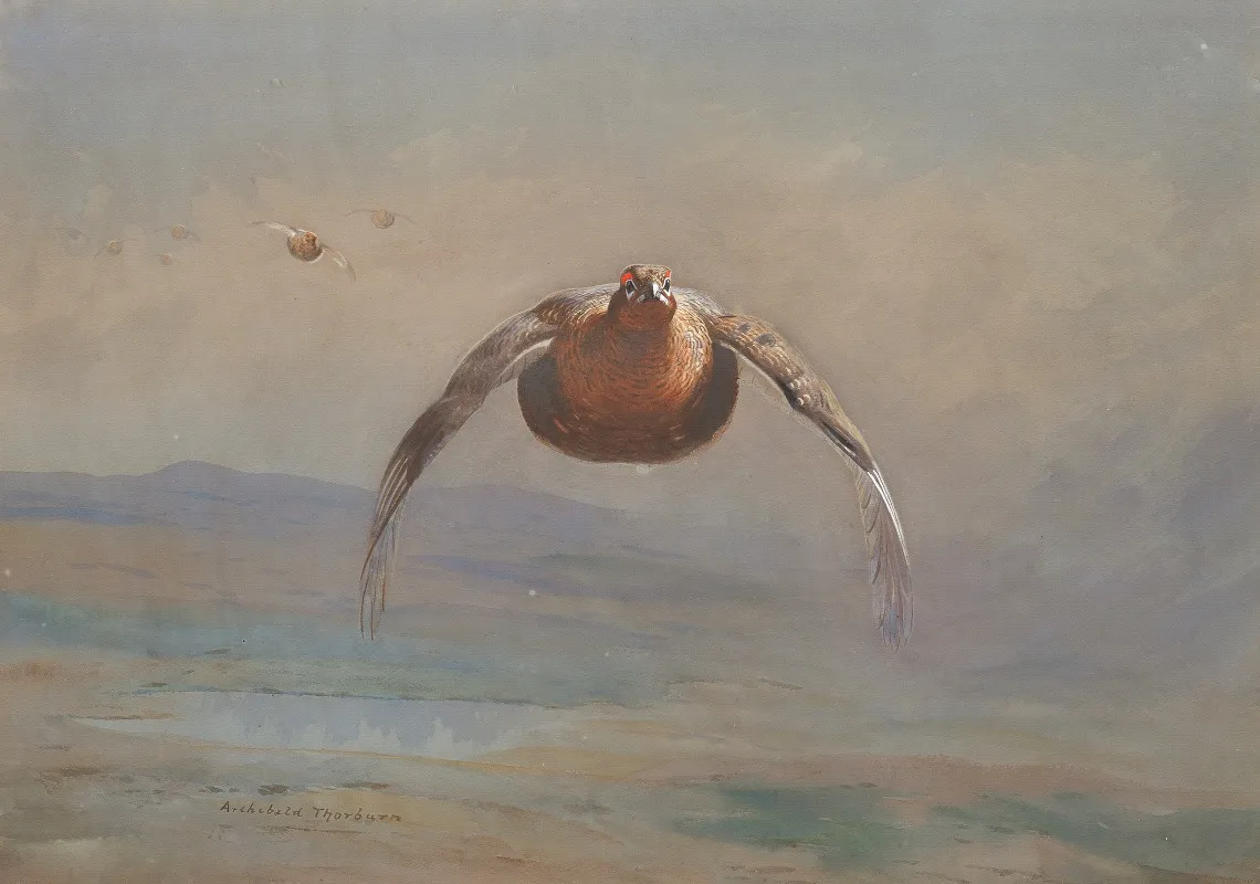 Grouse In Flight Wall Art by Archibald Thorburn - High-Resolution Digital Print