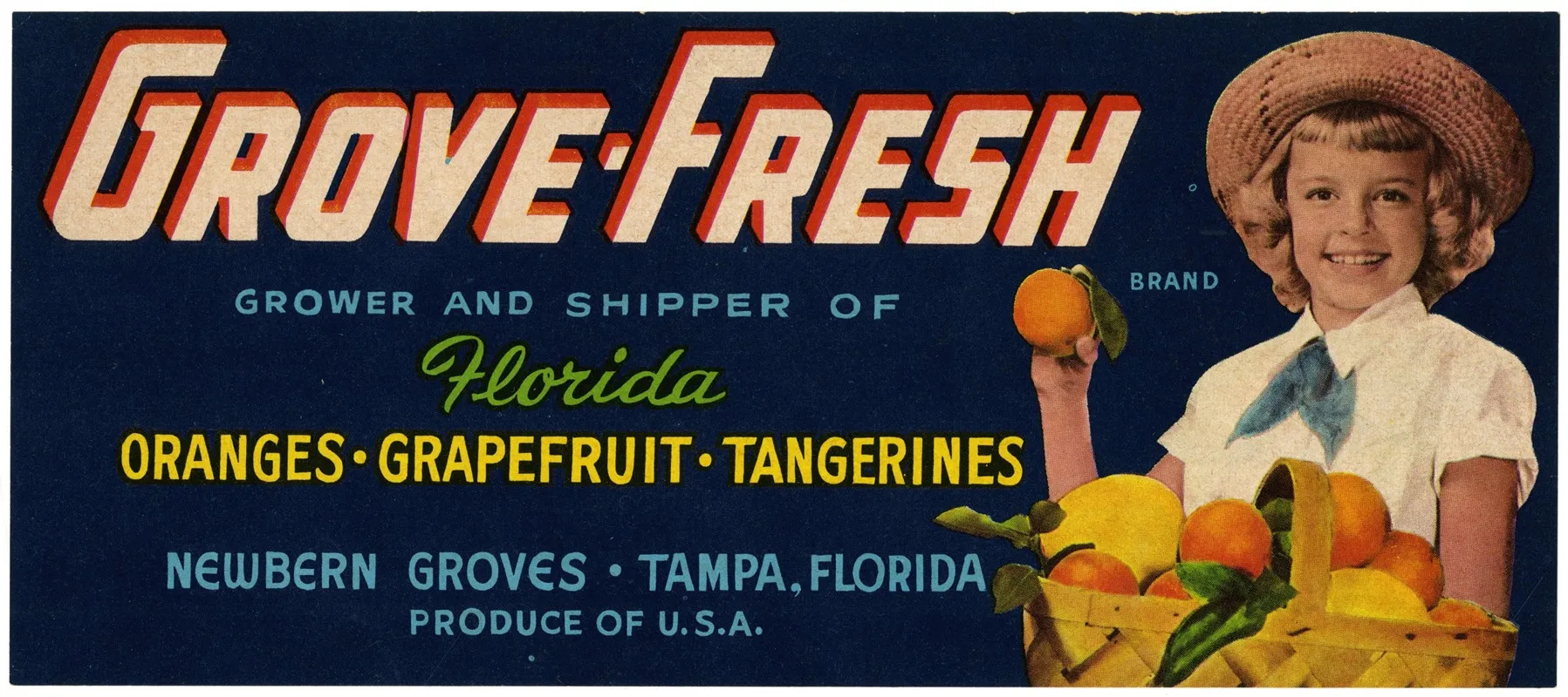 Grove Fresh Brand Citrus Label