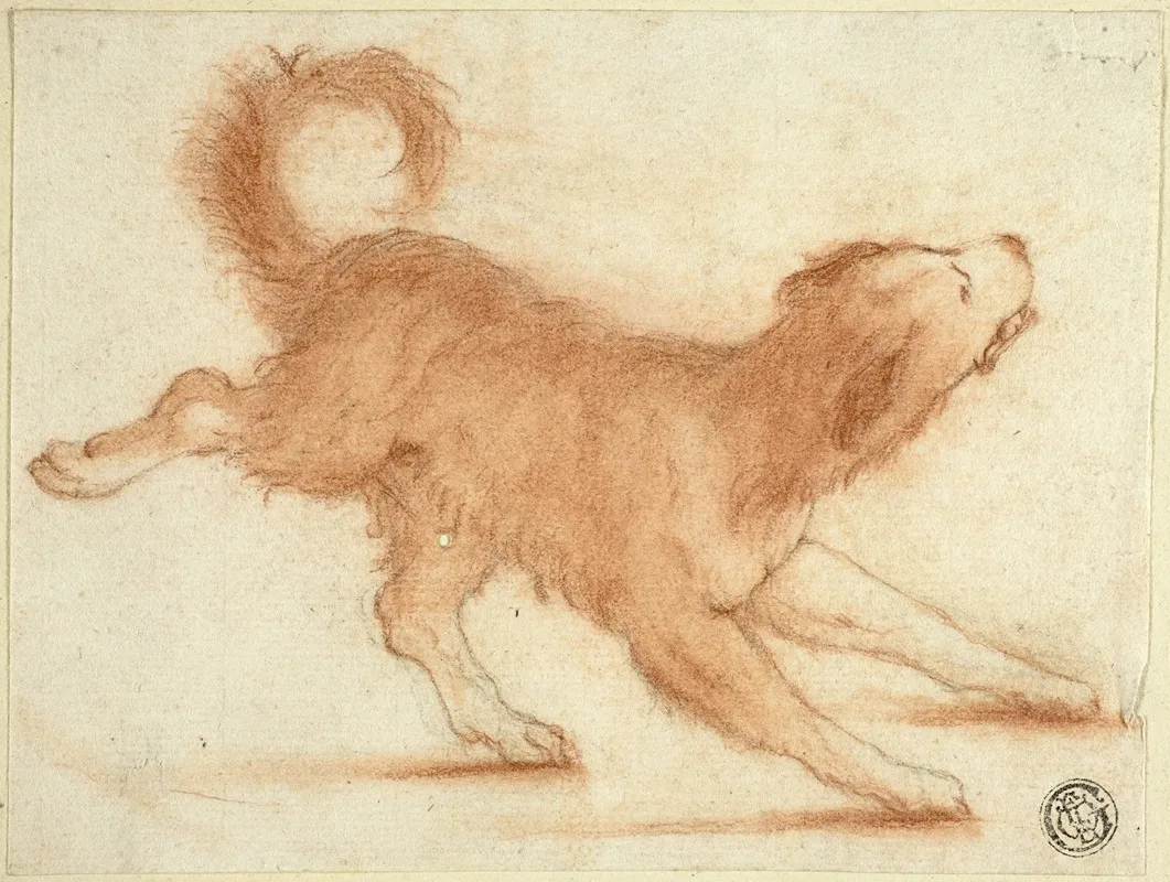 Growling Dog Ready To Pounce