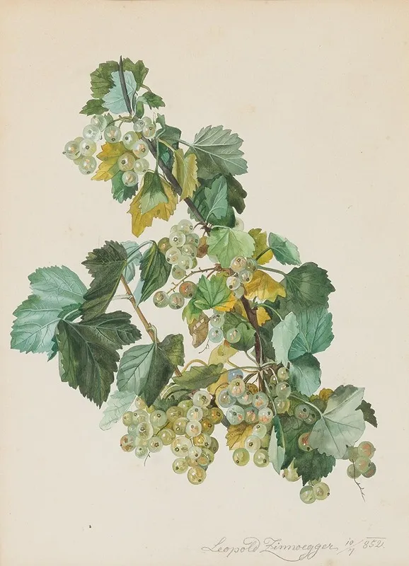 Grune Ribisel Wall Art by Leopold Zinnögger - High-Resolution Digital Print