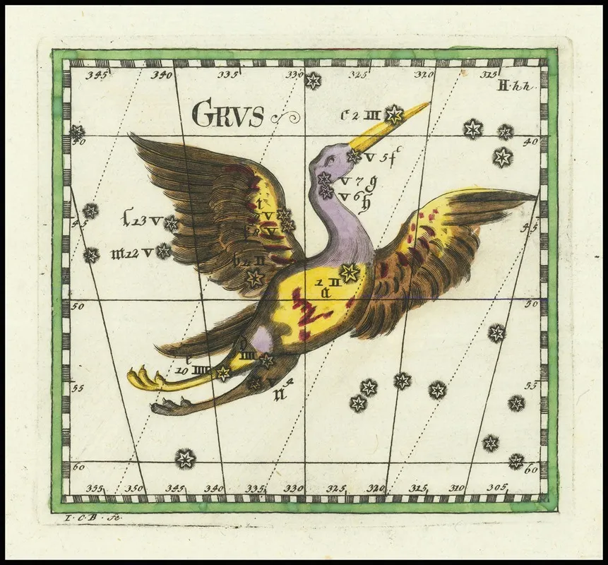 Grus Wall Art by Corbinian Thomas - High-Resolution Digital Print