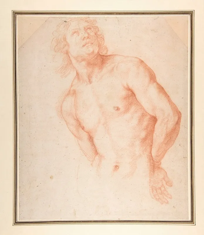 Half Figure Of A Male Nude With Arms Behind Back Wall Art by Ottavio Vannini - High-Resolution Digital Print