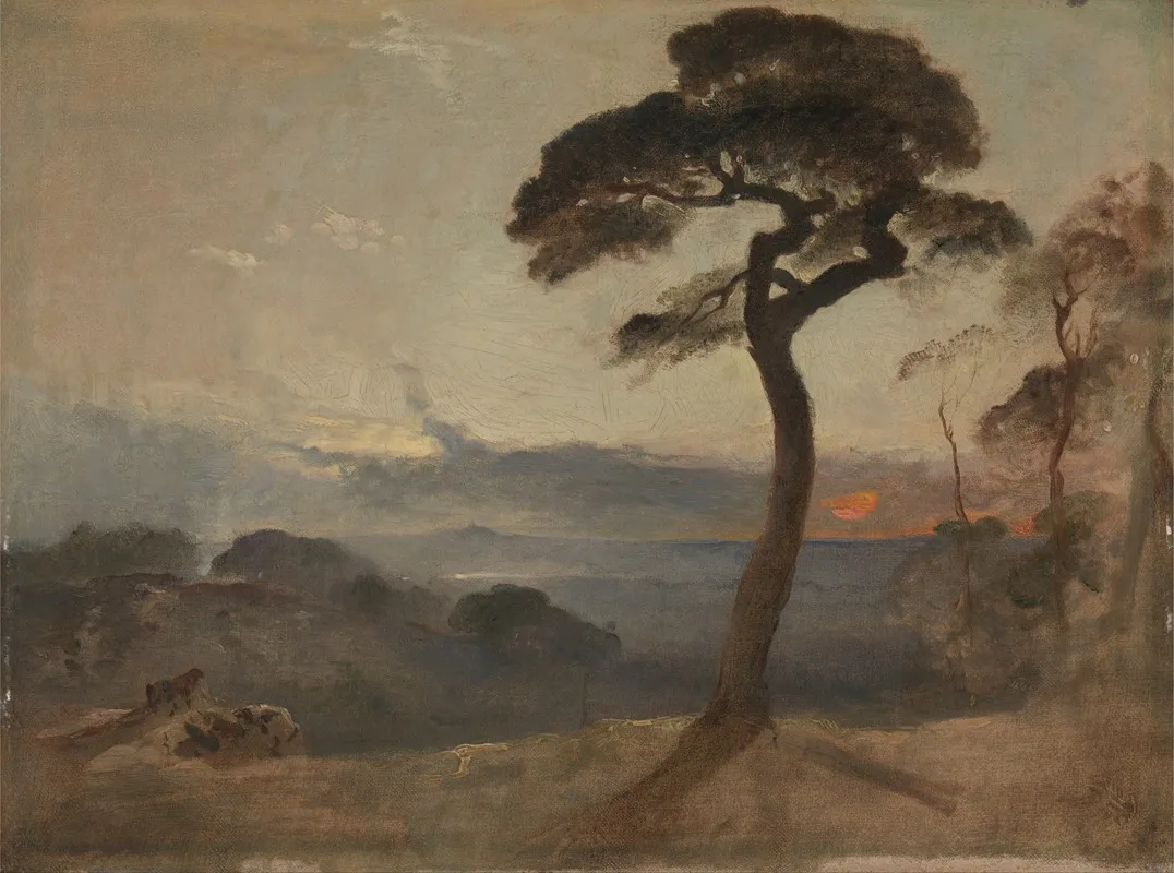 Hampstead Heath Sunset