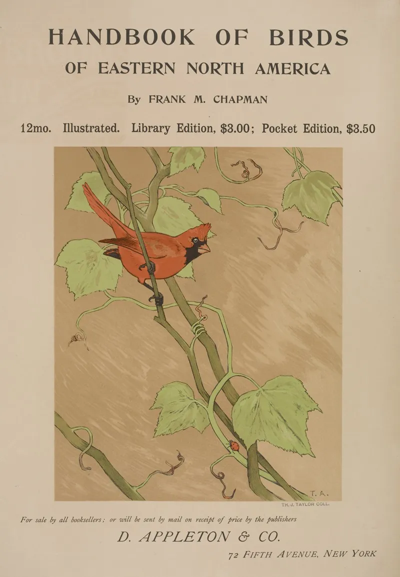 Handbook Of Birds Of Eastern North America 2 Wall Art by Anonymous - High-Resolution Digital Print