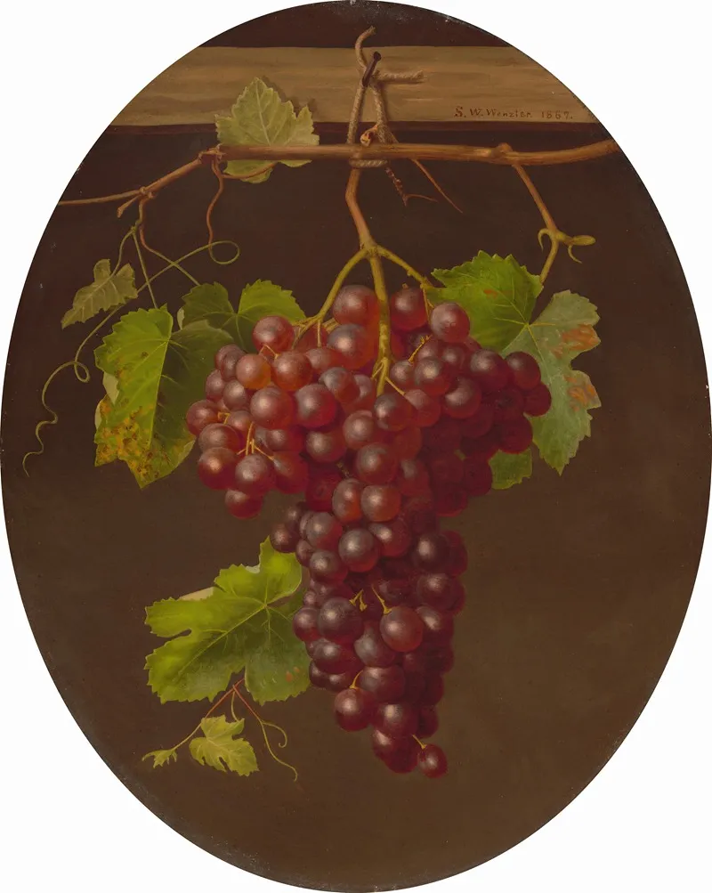 Hanging Bunch Of Grapes Wall Art by Sarah Wilhelmina Wenzler - High-Resolution Digital Print