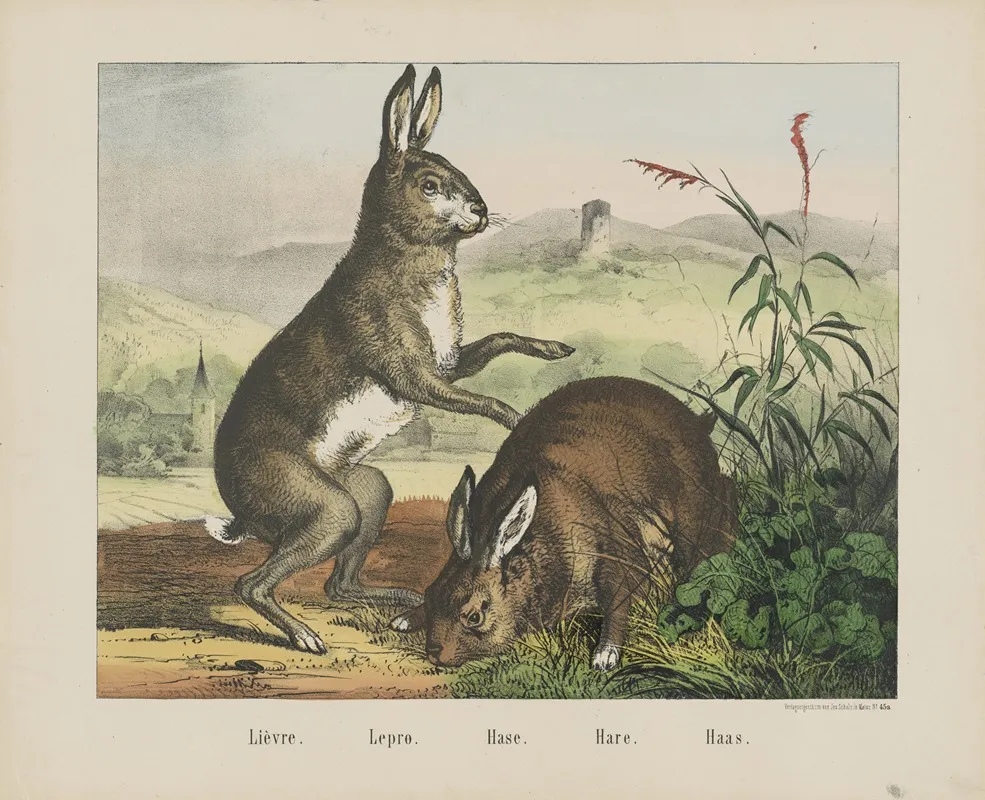 Hare 3 Wall Art by Joseph Scholz - High-Resolution Digital Print
