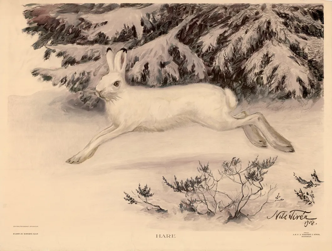 Hare 4 Wall Art by Nils Tirén - High-Resolution Digital Print