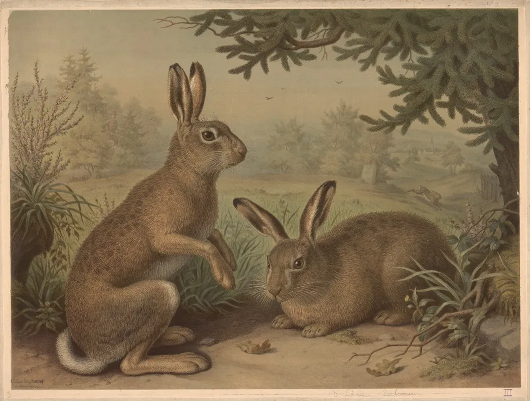 Hare 8 Wall Art by Emil Schmidt - High-Resolution Digital Print