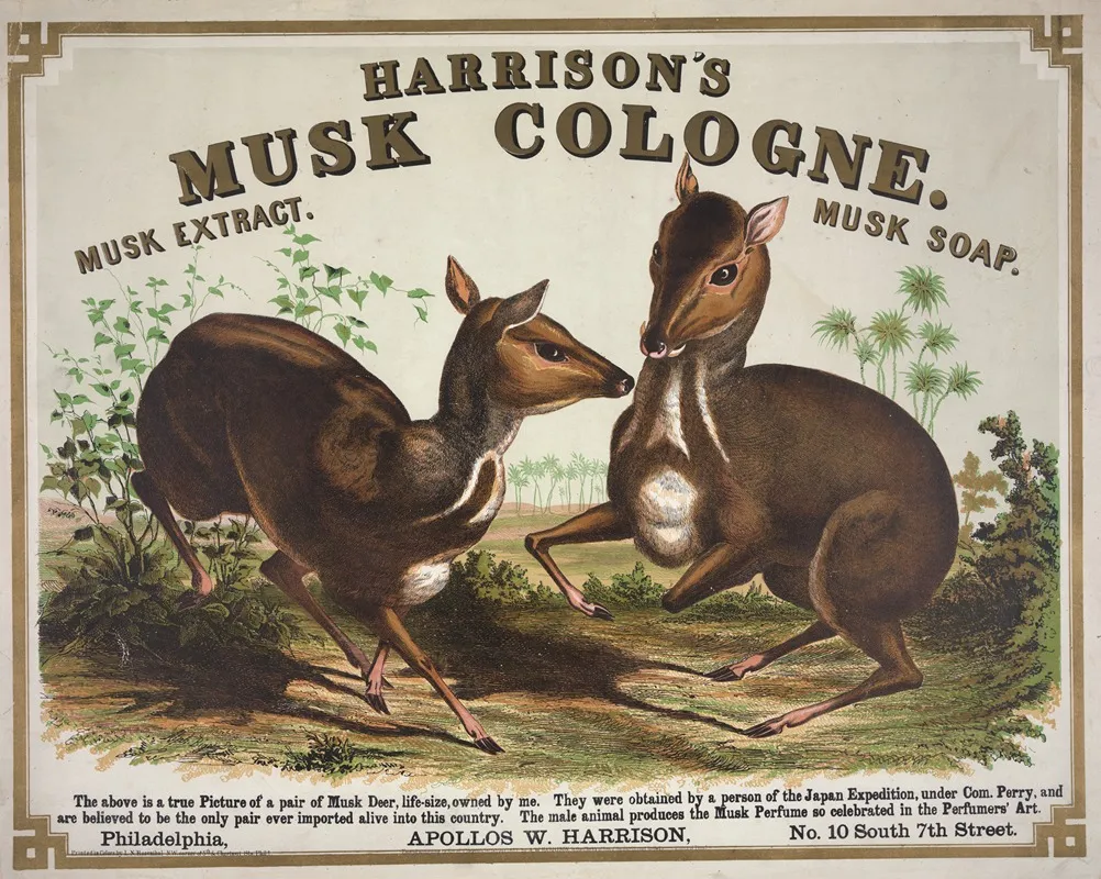 Harrisons Musk Cologne Philadelphia Wall Art by Alphonse Bigot - High-Resolution Digital Print