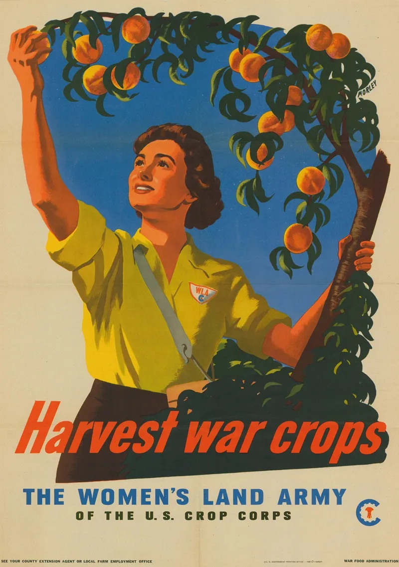 Harvest War Crops Wall Art by War Food Administration - High-Resolution Digital Print