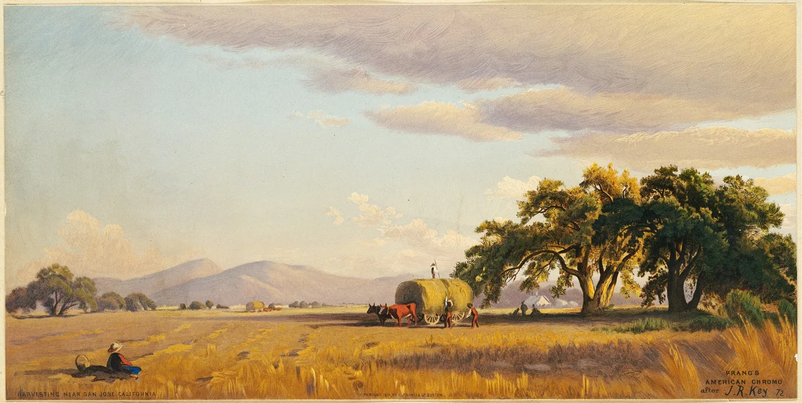 Harvesting Near San Jose California