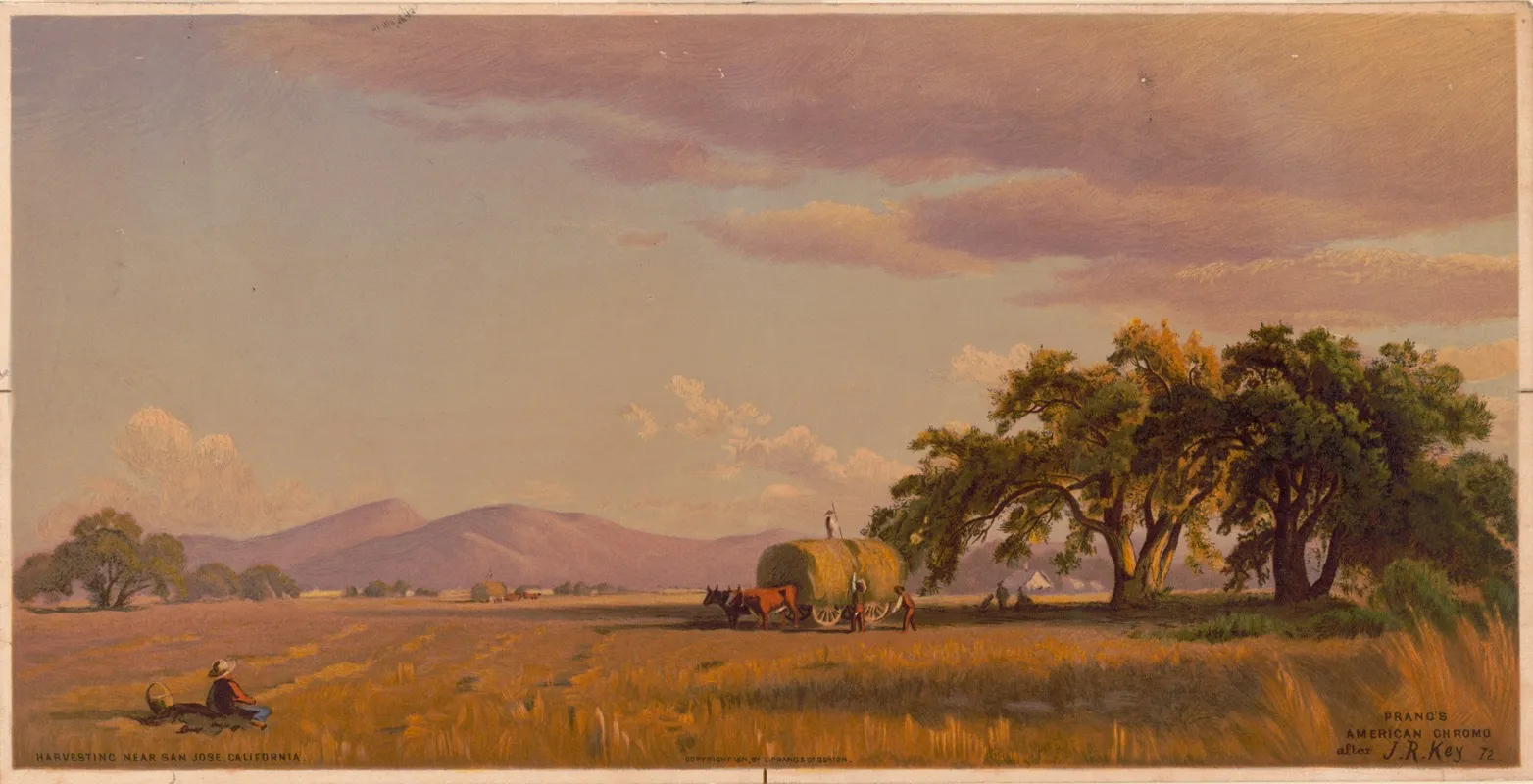 Harvesting Near San Jose