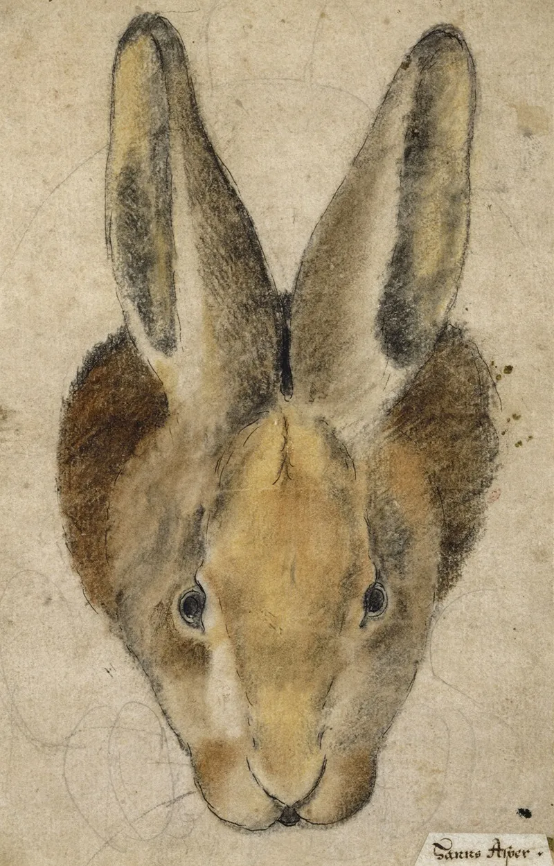 Hase Von Vorn Wall Art by Hans Asper - High-Resolution Digital Print