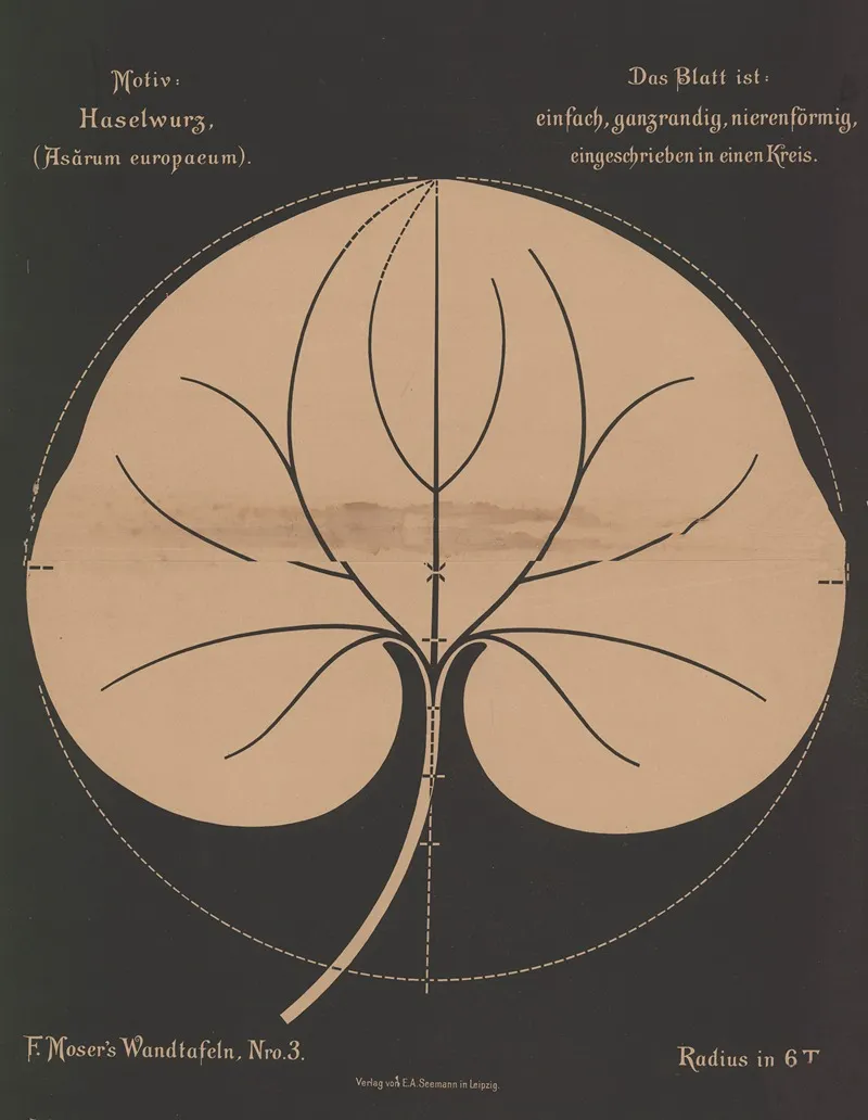 Haselwurz Asarum Europaeum Wall Art by Ferdinand Moser - High-Resolution Digital Print