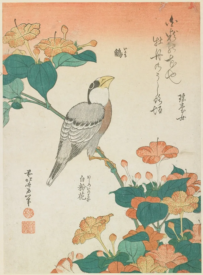 Hawfinch And Marvel Of Peru Wall Art by Katsushika Hokusai - High-Resolution Digital Print