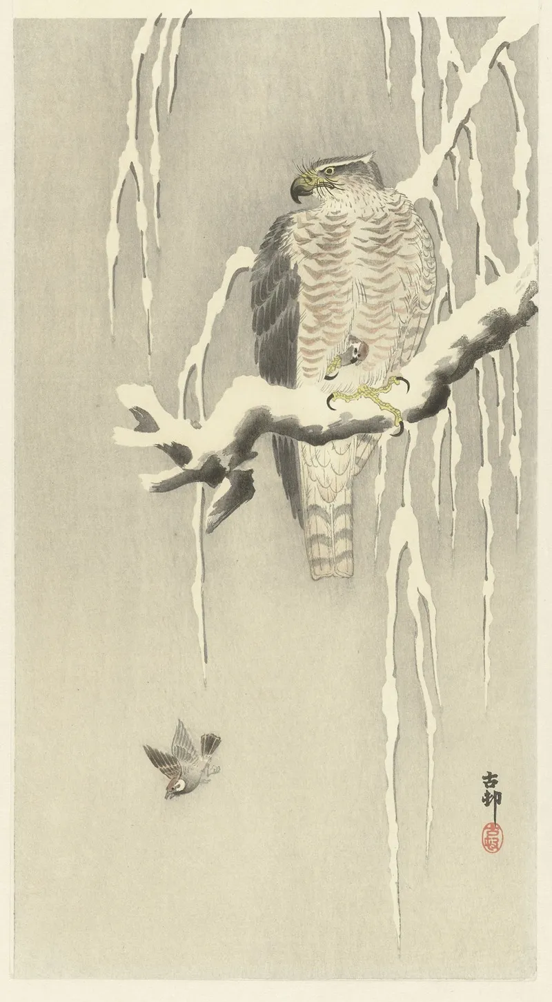 Hawk With Captive Tree Sparrow Wall Art by Ohara Koson - High-Resolution Digital Print