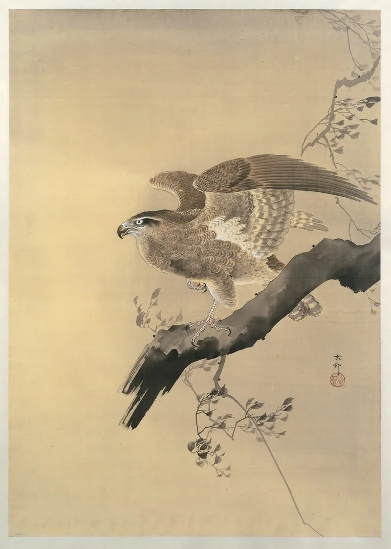 Hawk Wall Art by Ohara Koson - High-Resolution Digital Print