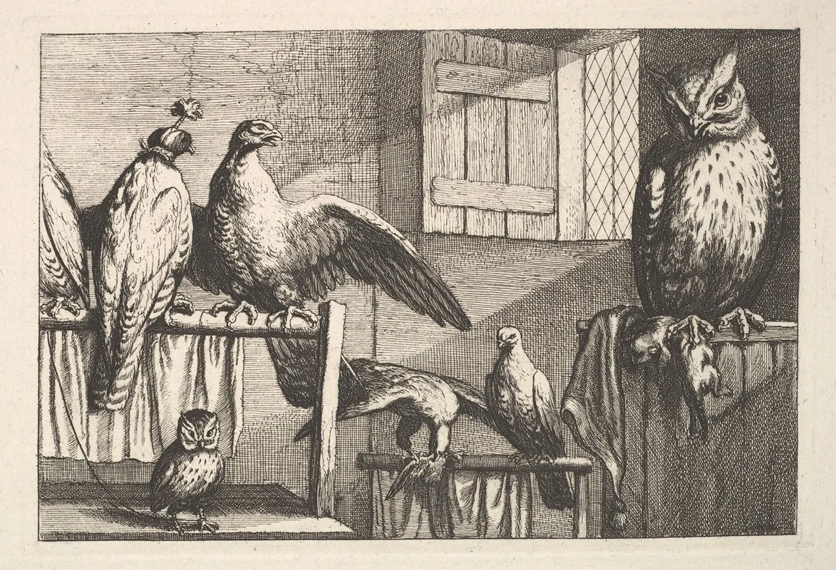 Hawks And Owls