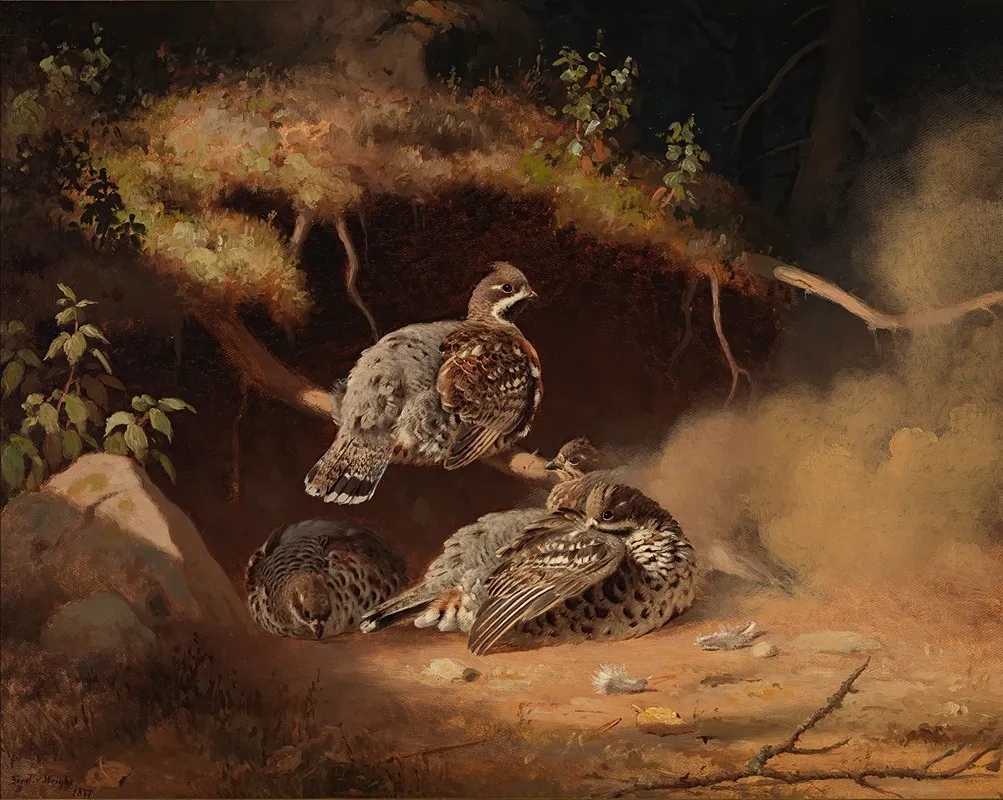 Hazel Grouse Wallowing In Sand Wall Art by Ferdinand von Wright - High-Resolution Digital Print