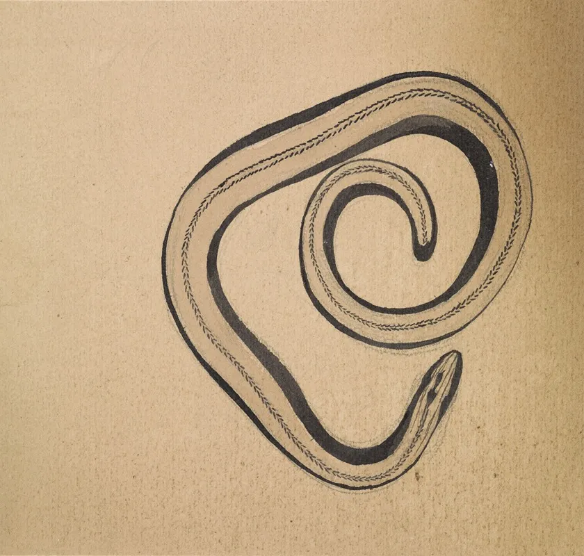 Hazelworm Wall Art by Julie de Graag - High-Resolution Digital Print