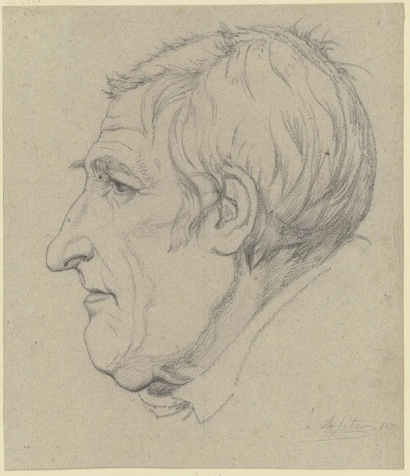Head In Profile 3