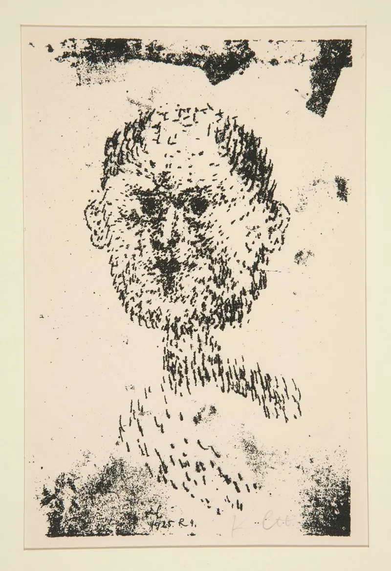 Head Kopf Bearded Man Baertiger Mann