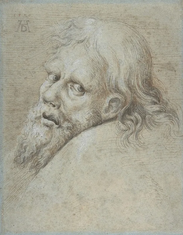 Head Of A Bearded Man 13 Wall Art by Hans Hoffmann - High-Resolution Digital Print