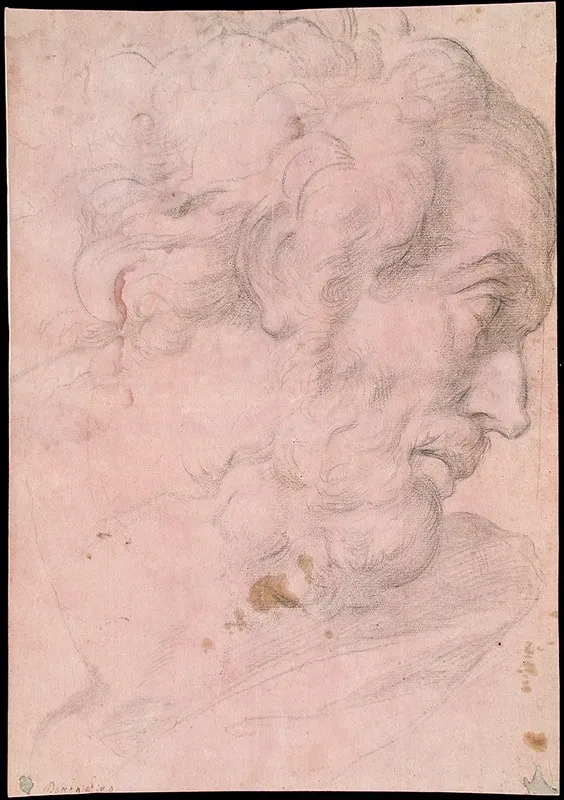 Head Of A Bearded Man 22 Wall Art by Giovanni Angelo Canini - High-Resolution Digital Print