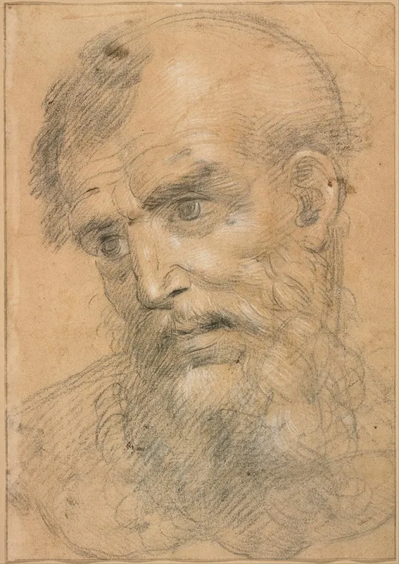 Head Of A Bearded Man 24 Wall Art by Giovanni Antonio Sogliani - High-Resolution Digital Print