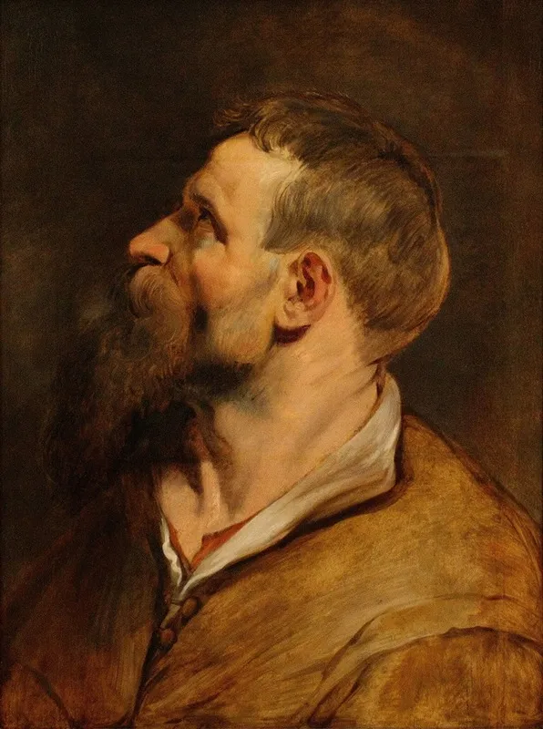 Head Of A Bearded Man 25 Wall Art by Peter Paul Rubens - High-Resolution Digital Print