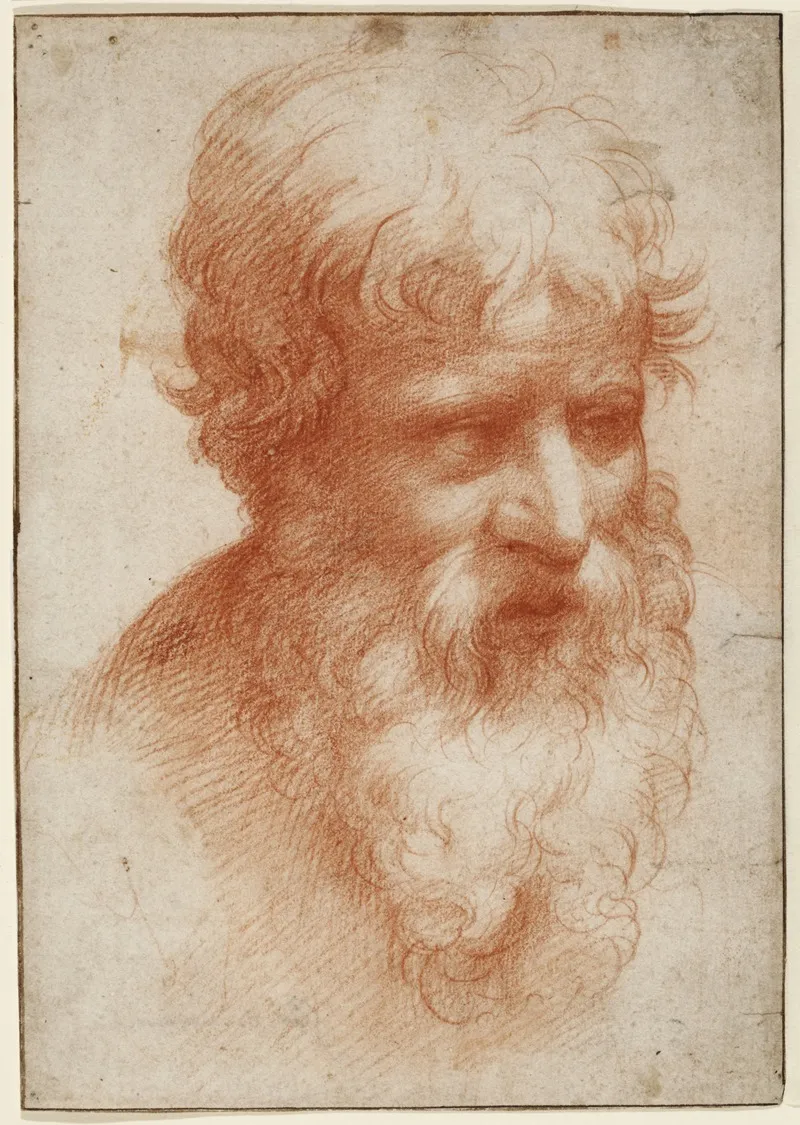 Head Of A Bearded Man Looking Right 2