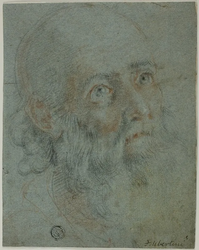 Head Of A Bearded Man Looking Up To Right Study For Saint Catherine Of Alexandria Disputing With The Pagan Priests