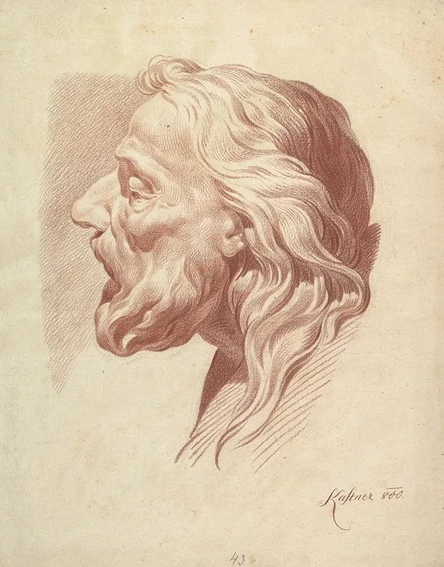 Head Of A Bearded Old Man In Profile To The Right Wall Art by Johann Evangelist Kastner - High-Resolution Digital Print