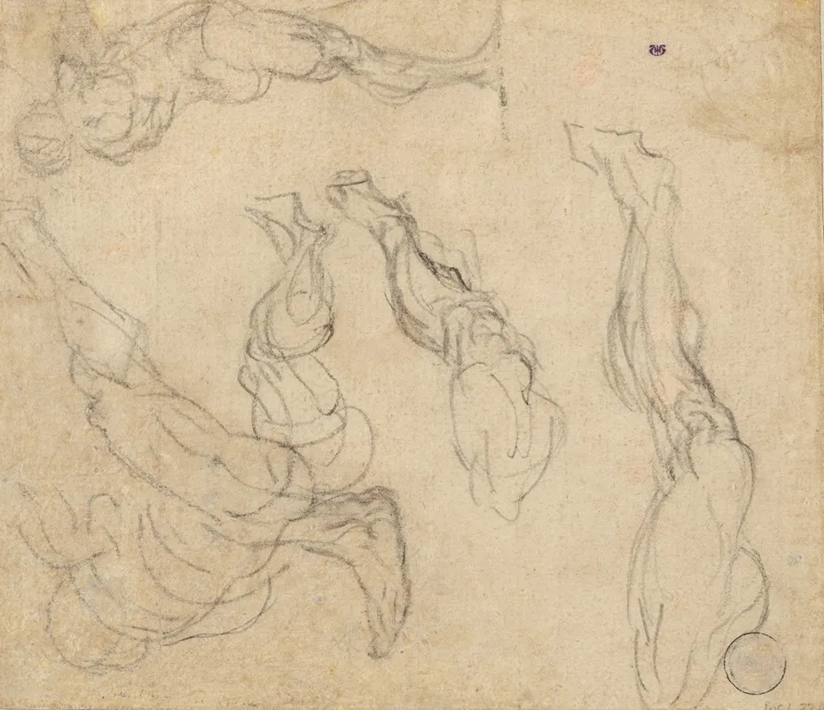 Head Of A Boy Verso