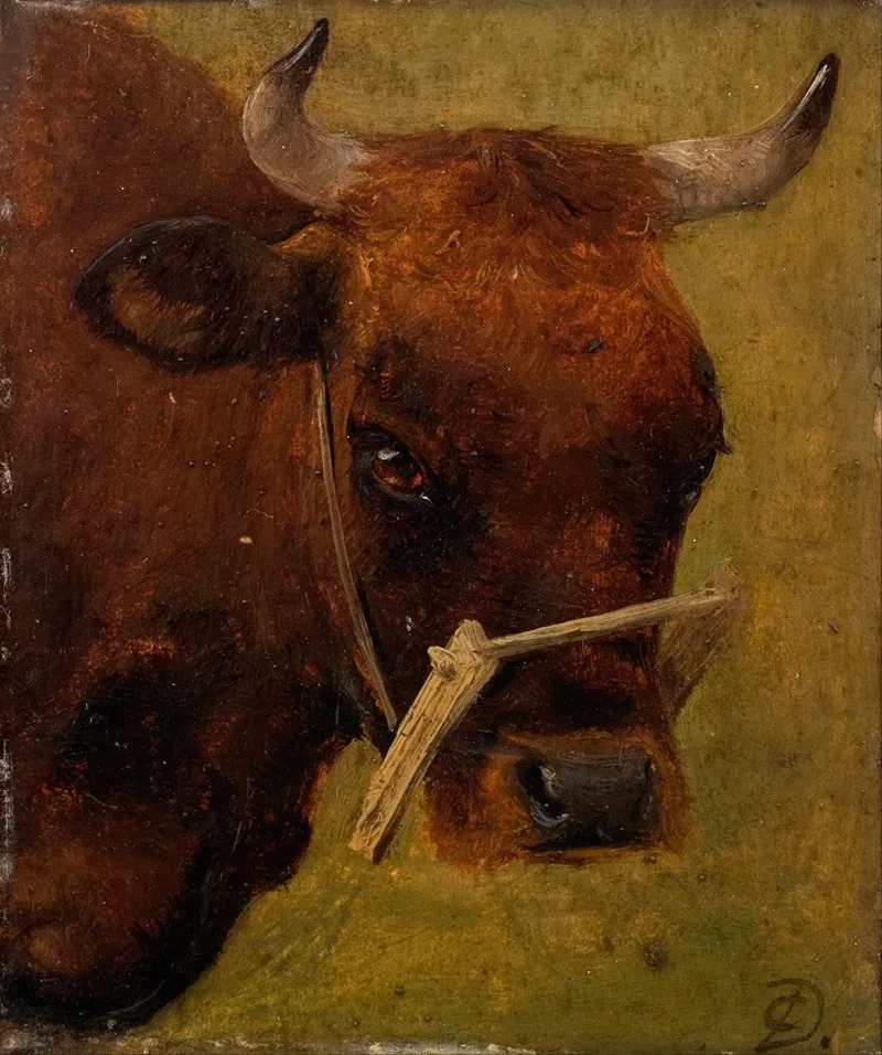 Head Of A Cow Study Wall Art by Carlo Dalgas - High-Resolution Digital Print