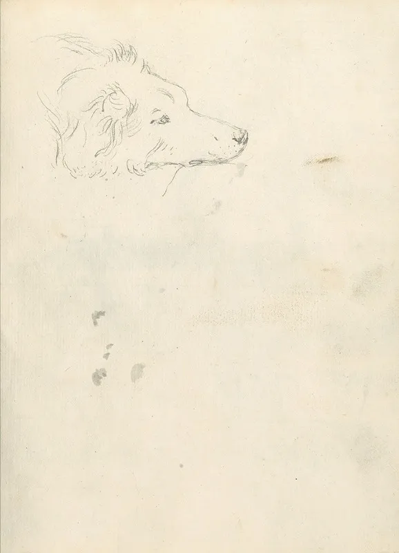 Head Of A Dog 2 Wall Art by Joseph Wright of Derby - High-Resolution Digital Print