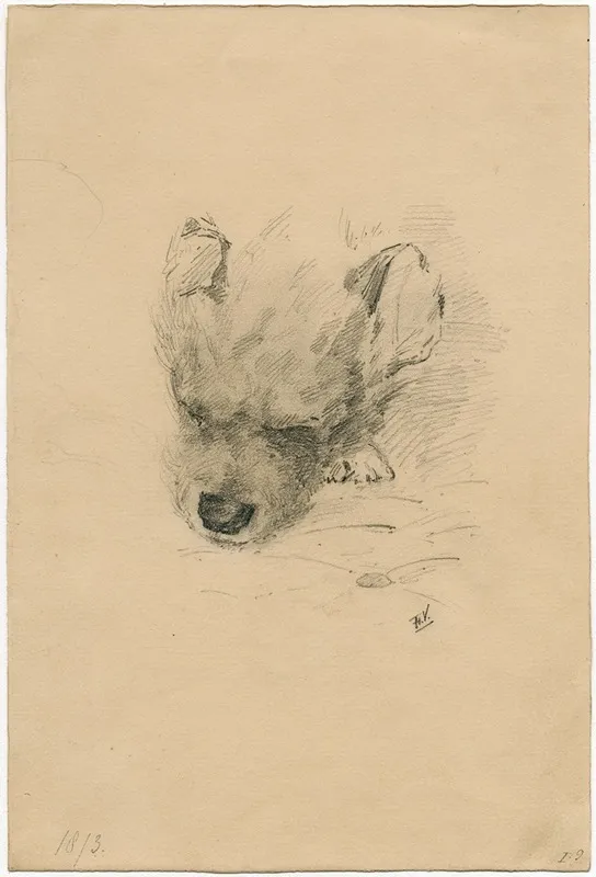 Head Of A Dog 3