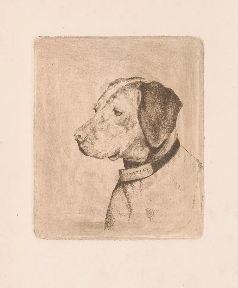 Head Of A Dog With A Collar Wall Art by Joseph Schippers - High-Resolution Digital Print