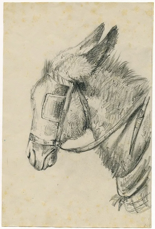 Head Of A Donkey With Rein And Blinker