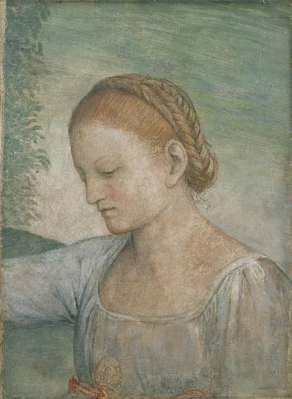 Head Of A Girl 9 Wall Art by Bernardino Luini - High-Resolution Digital Print