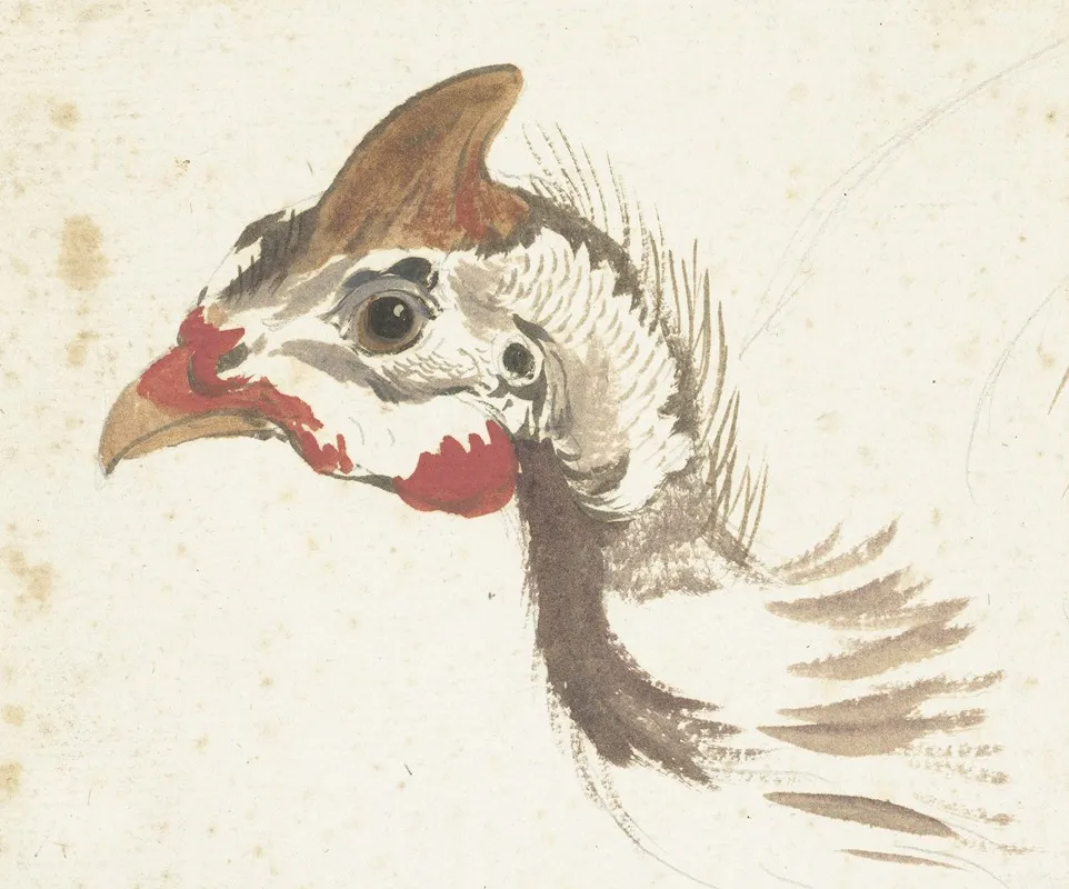 Head Of A Helmeted Guineafowl Wall Art by Aert Schouman - High-Resolution Digital Print
