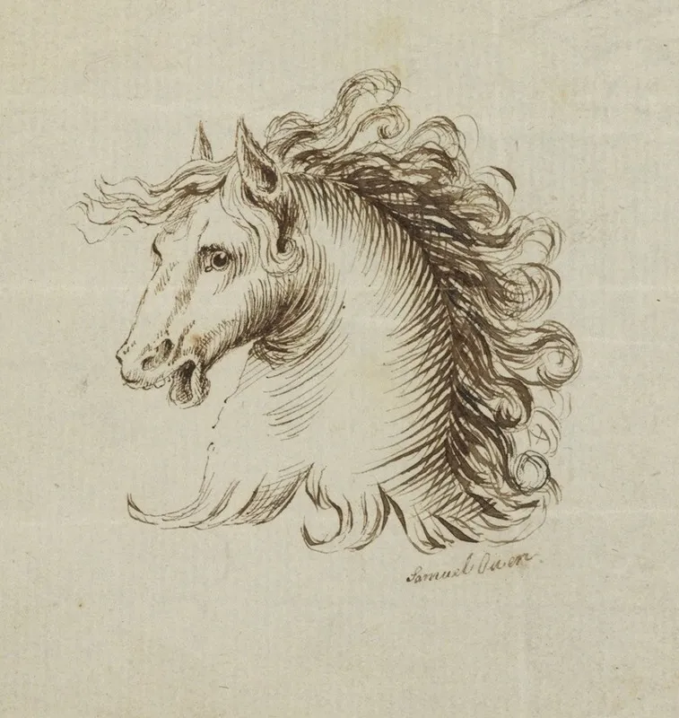 Head Of A Horse 3 Wall Art by Samuel H. Owen - High-Resolution Digital Print
