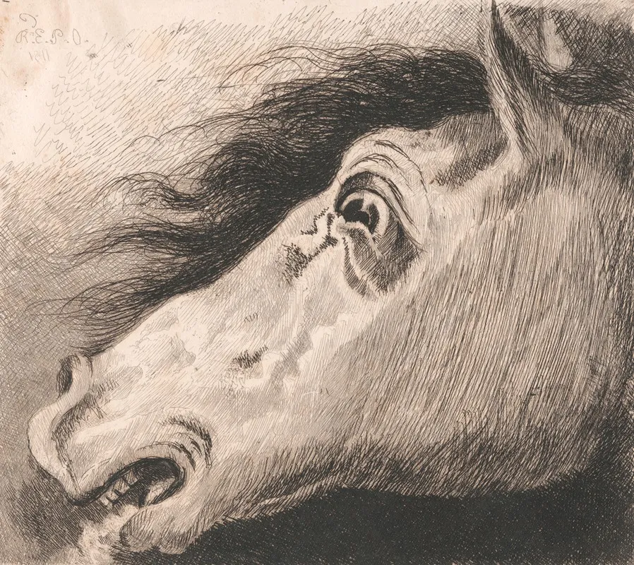 Head Of A Horse 6 Wall Art by Edward Pryce Owen - High-Resolution Digital Print
