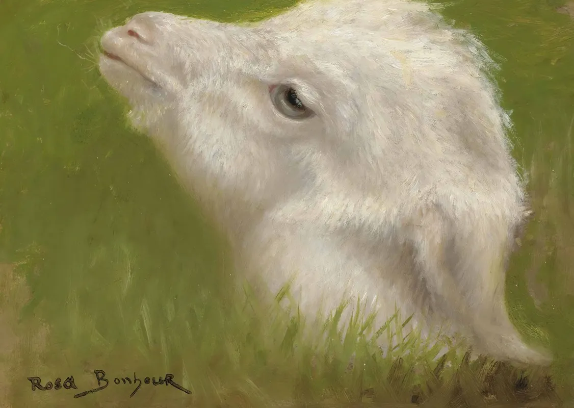 Head Of A Lamb Wall Art by Rosa Bonheur - High-Resolution Digital Print