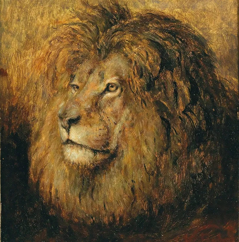 Head Of A Lion