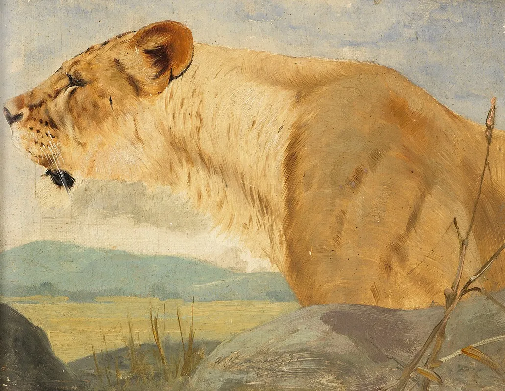 Head Of A Lioness
