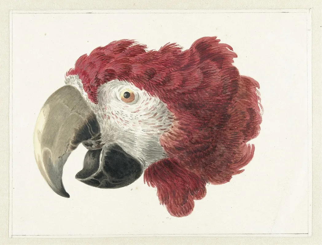 Head Of A Macaw Wall Art by Aert Schouman - High-Resolution Digital Print